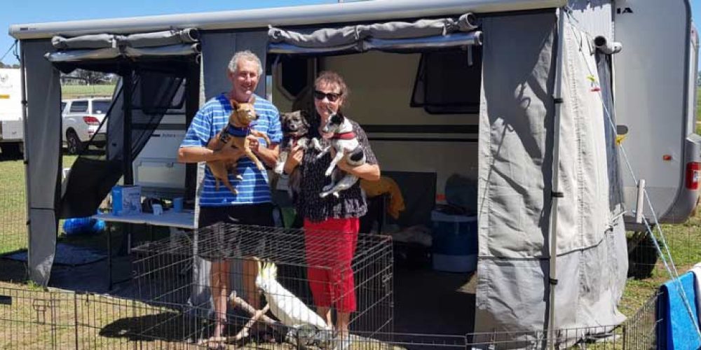 Travelling with Pets – With Ron & Annette