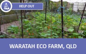 waratah-eco-farm-ho-nl