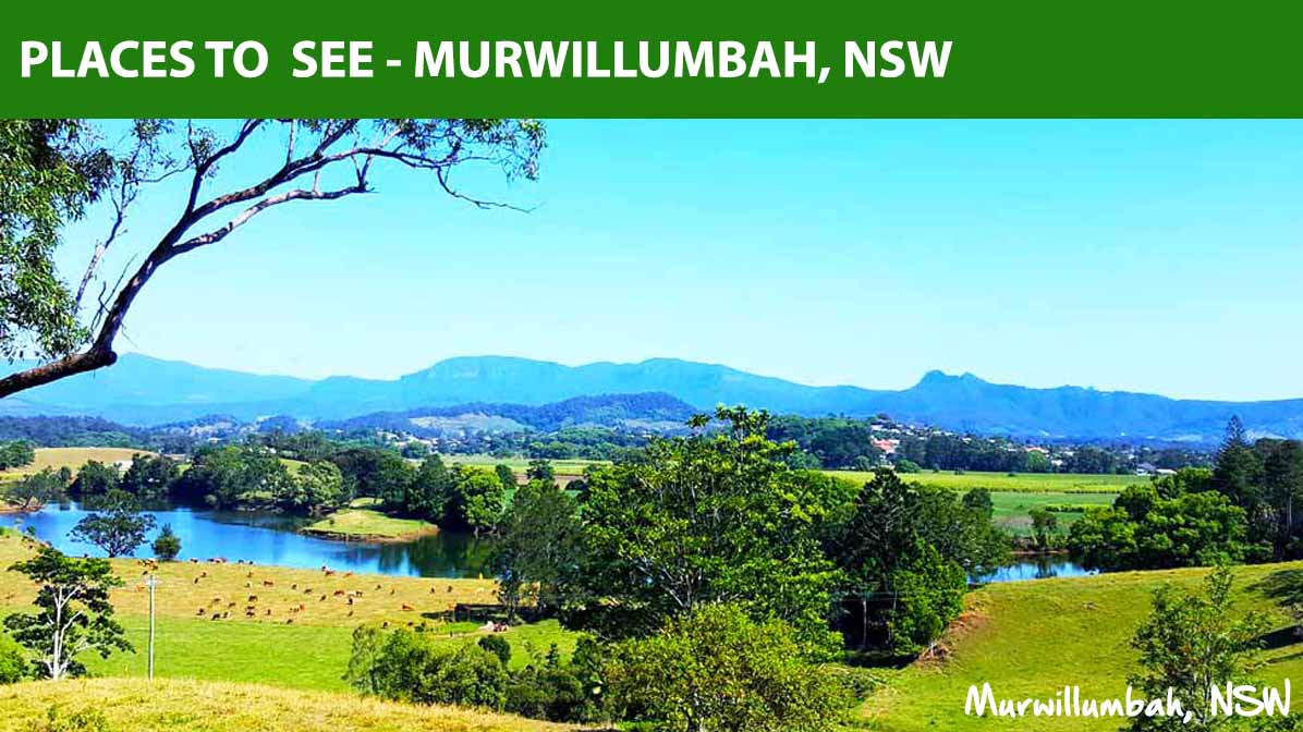 places-to-see-murwillumbah