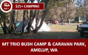 mt-trio-bush-camp-_-caravan-park