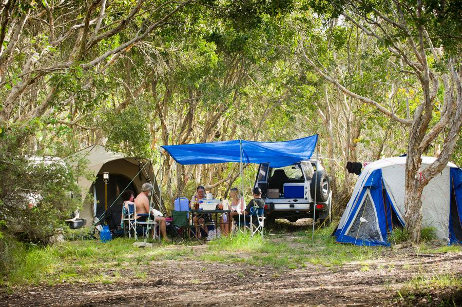 Noosa North Shore Beach Campground Cp Full Range Camping Directory
