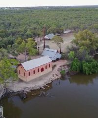 Sunraysia Steamies Volunteer (HO)