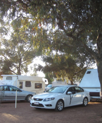 BIG4 Warrnambool Figtree Holiday Park (CP)