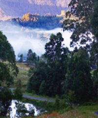 Misty Mountain/100 Tents Campground (CG)
