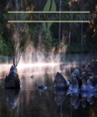 Nature Engagement Tours