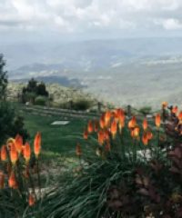 Organised Camping Tours