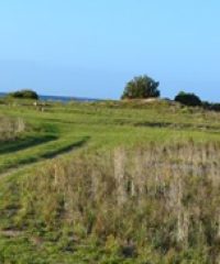 Parara Campground (CG)