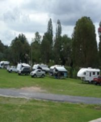 Tenterfield Showgrounds Camping (CG)