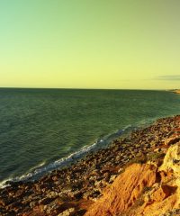 The Gap (CG)
