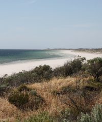 Wauraltee Beach (CG)