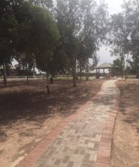 Wirrulla Campground (CG)