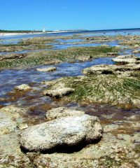 Southern Yorke Peninsula SA (HS)