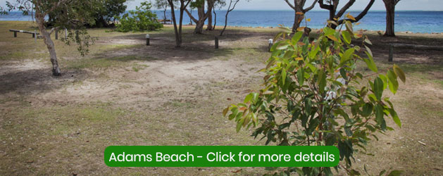 adams-beach-north-stradbroke-island-frc-listing