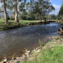 vic-river-frontage-camping