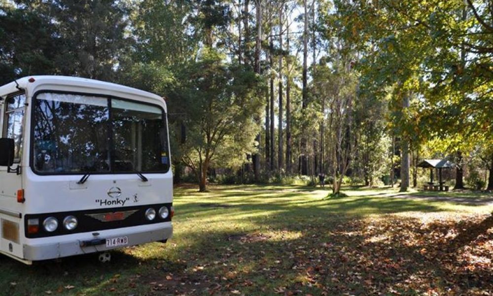 Coopernook State Forest, NSW -Free Camp