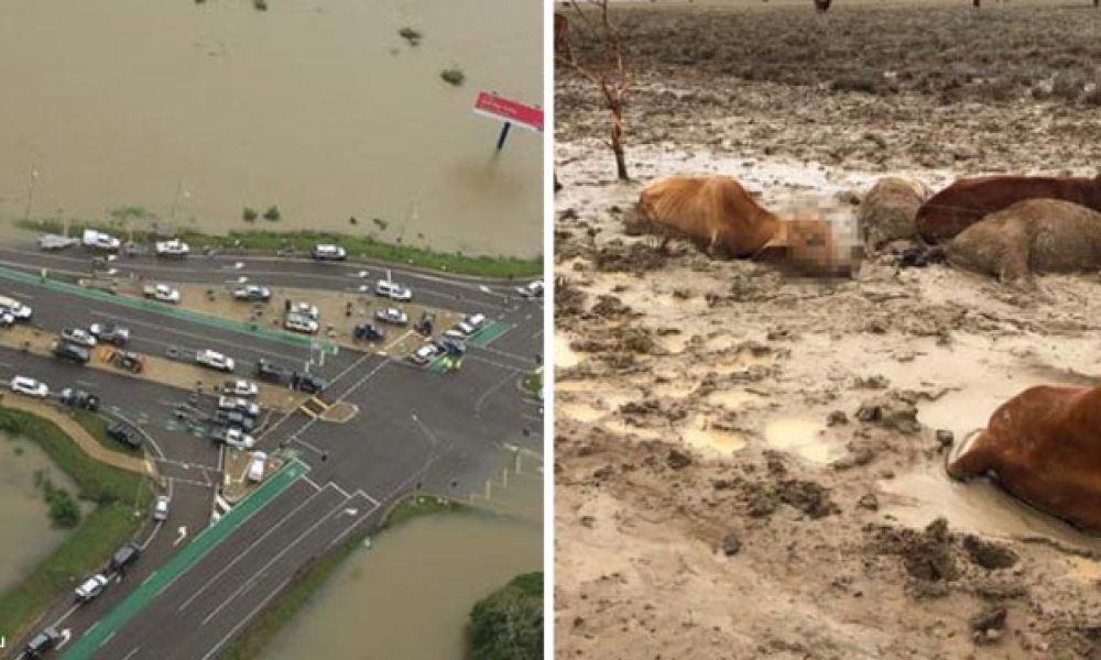 Outback Queensland Floods 2019 – Please Help
