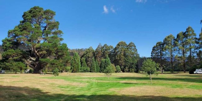Myrtle Park Campgrounds, TAS Re-Open for Upcoming Holiday Season