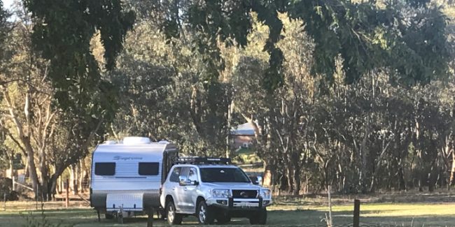 Campsite Review – Homebush Park Camp