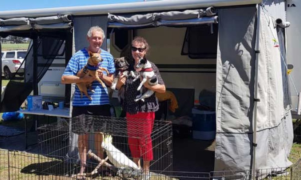 Travelling with Pets – With Ron & Annette