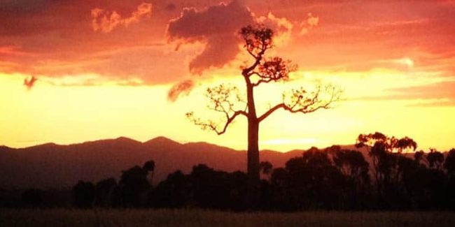 Alkoomi Adventure Farm — A campsite that Inspires the Spirit of Giving