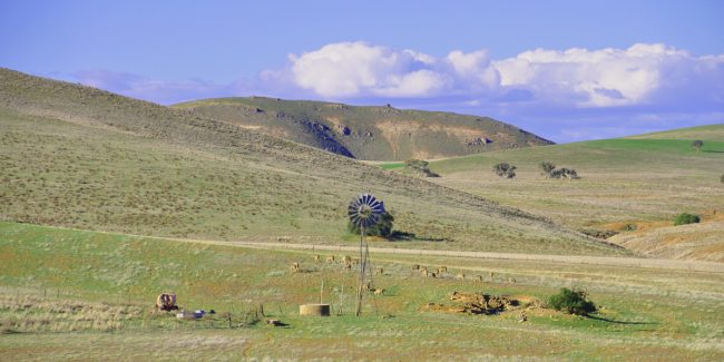 Beautiful Burra