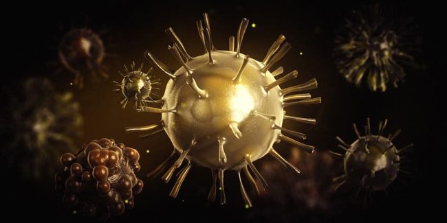 Coronavirus: COVID-19, To Wear A Mask, That Is The Question