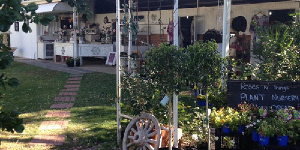Kui Parks – Roses N Things Caravan Park & Tea Garden