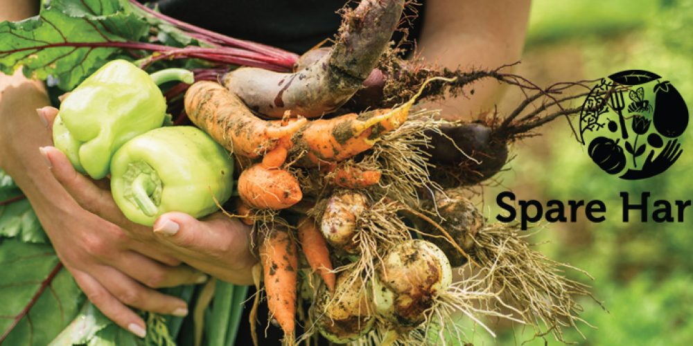 Find Fresh Local Produce While You Travel